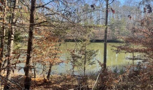 View from Lot to Lake