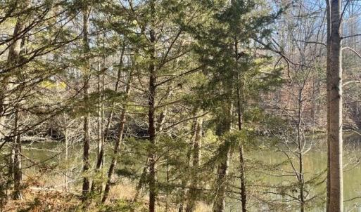 View from Lot to Lake