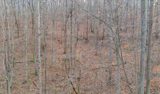 16-DJI_20241220141209_0053_D