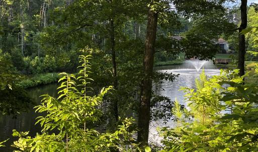 Pond-front Lot 359 Clear Pointe Run