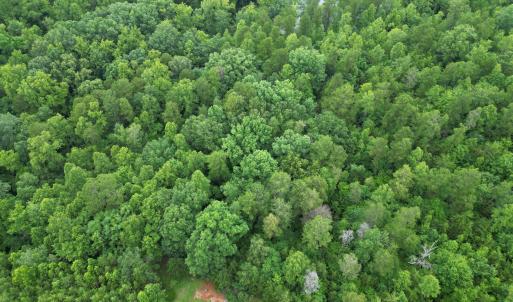 dji_fly_20250623_121108_250_175278504289