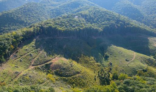 IMG-3494-3