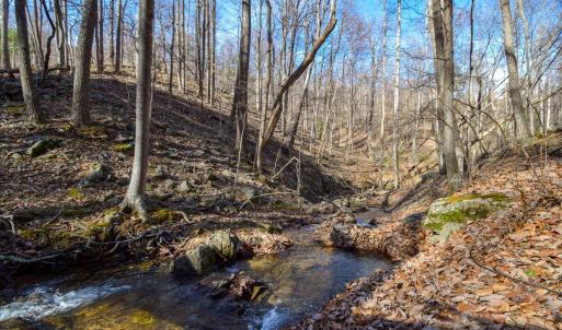 09-0 Hidden Woods-9