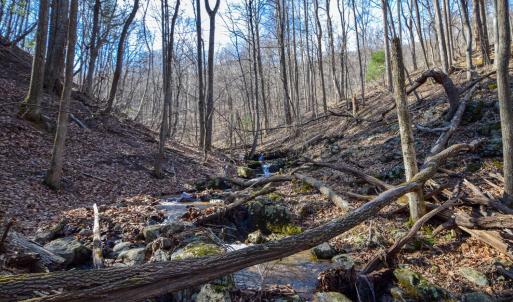 11-0 Hidden Woods-11