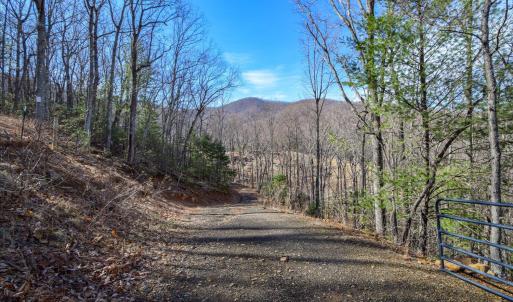 01-0 Hidden Woods-1