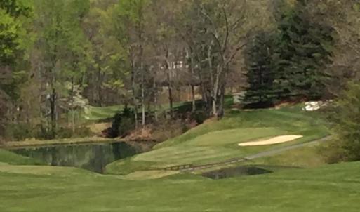#17 Green from #9