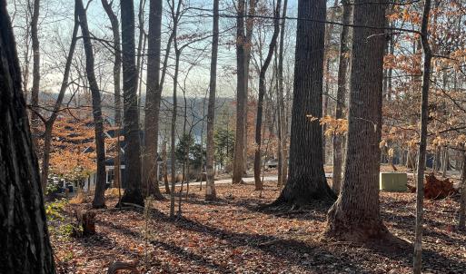Lake View 1