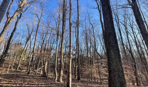 Lot View 3