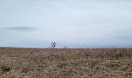Country Meadow Lot 139