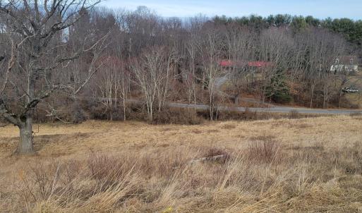 Country Meadow 123