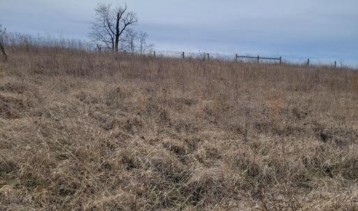 Country Meadow Lot 133 2