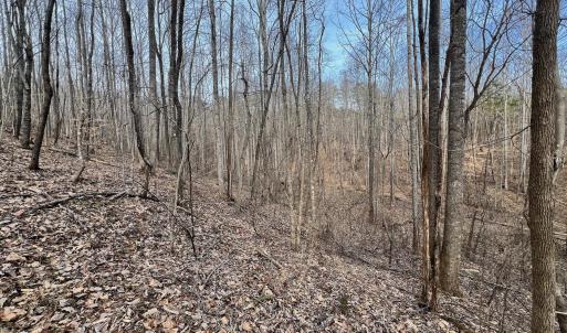 Smith Mtn 20 - 44
