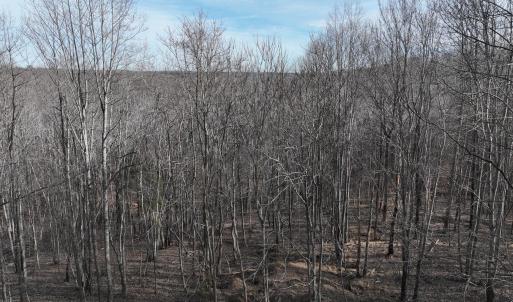 Smith Mtn 20 - 34