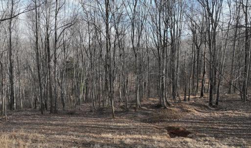 Smith Mtn 20 - 30