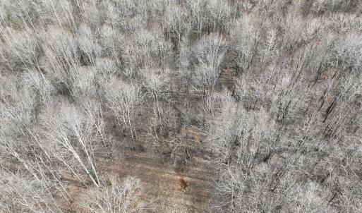 Smith Mtn 20 - 16