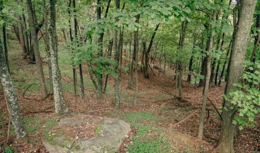 Grissom 14