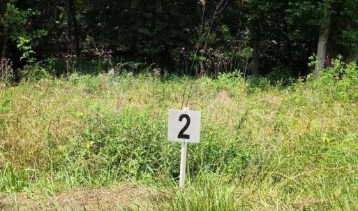 Lot 2