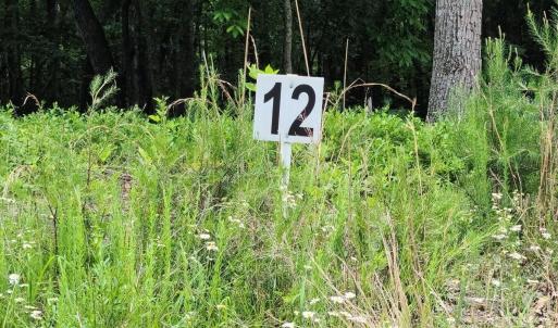 Lot 12 Belle Isle Dr