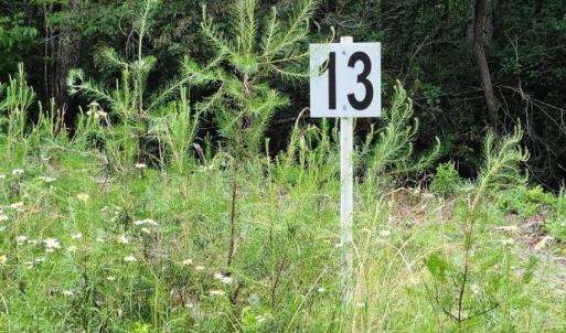 Lot 13 Belle Isle Dr