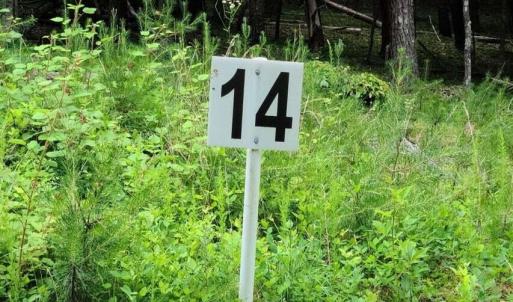 20210629190133969223000000-o