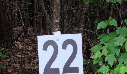 20210629193110552447000000-o