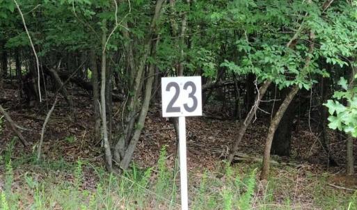 20210629194053381694000000-o