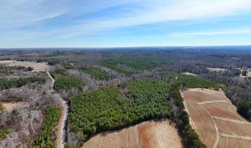 04-DJI_20250214124130_0129_D(1)