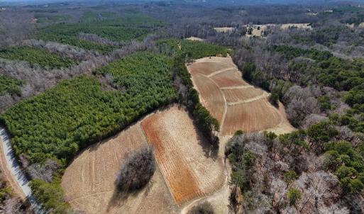 05-DJI_20250214124130_0129_D