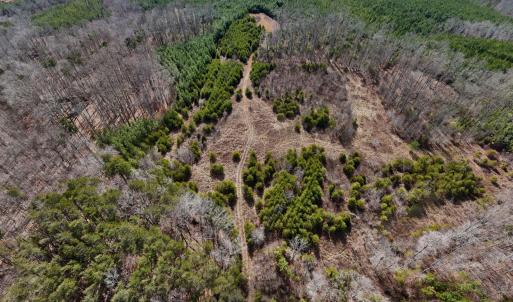 19-DJI_20250214125827_0160_D