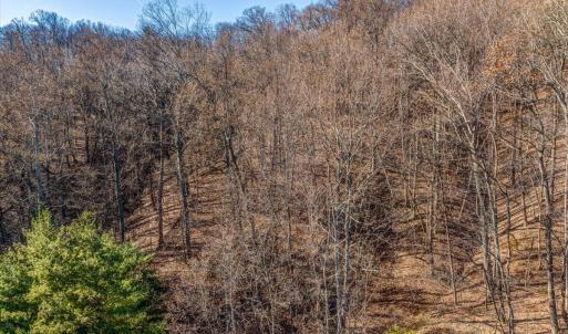 01-01-0 Burnham Rd Roanoke VA-