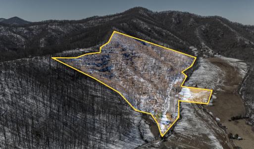 Lavender Ln Cover Photo