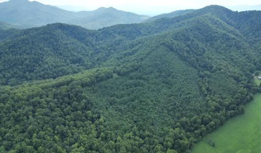 dji_fly_20250705_131950_285_175321799976