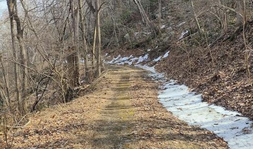 IMG_20250226_121823972_HDR_AE