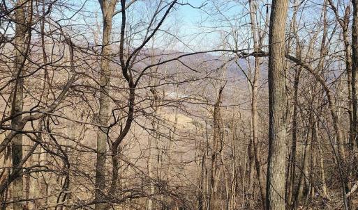 IMG_20250226_121828290_AE