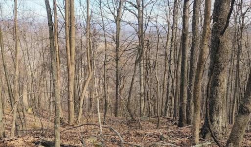 IMG_20250226_122633514_AE