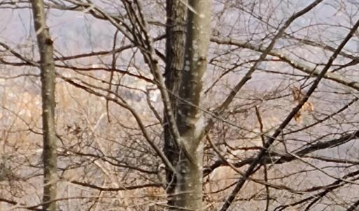 IMG_20250226_122641685_AE