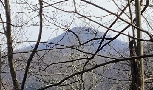 IMG_20250226_122655822_AE