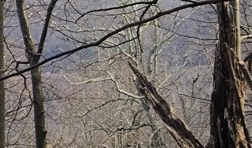 IMG_20250226_122658463_AE