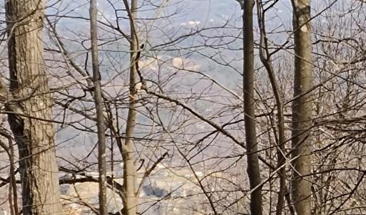 IMG_20250226_122727522_AE