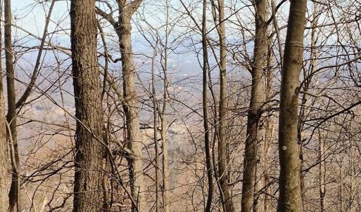 IMG_20250226_122733402_AE