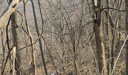 IMG_20250226_122750577_AE