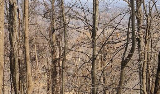 IMG_20250226_122846103_AE