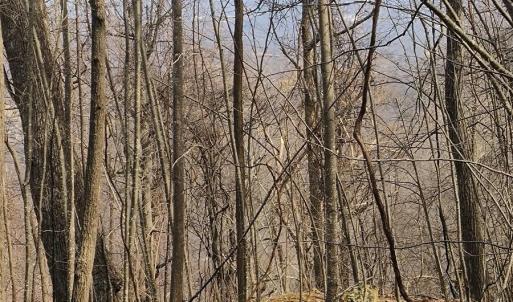 IMG_20250226_123010763_AE