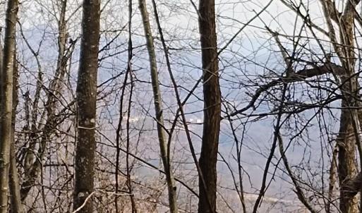 IMG_20250226_123025525_AE