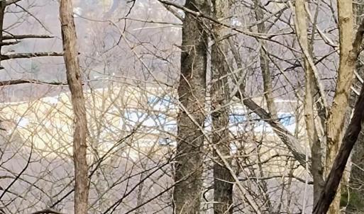 IMG_20250226_123127260_AE