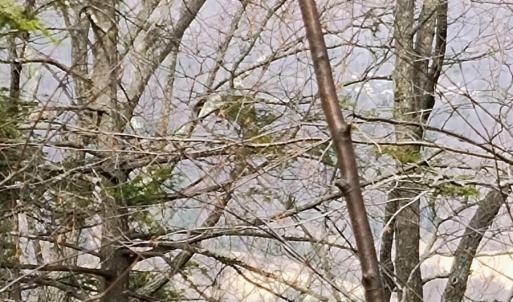 IMG_20250226_123142415_AE