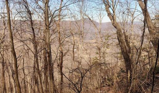 IMG_20250226_123507873_AE