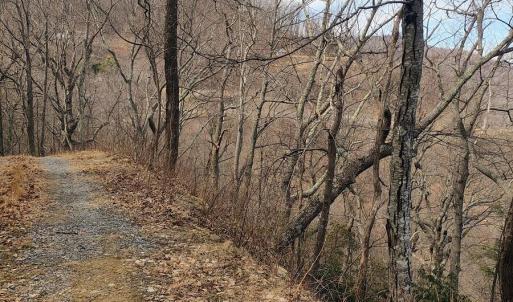 IMG_20250226_124206355_AE