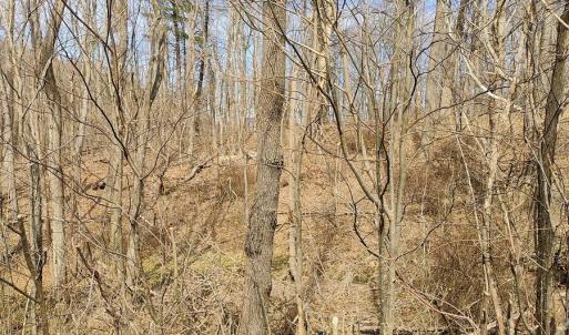 IMG_20250226_125034278_AE