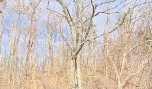 IMG_20250226_125111197_HDR_AE